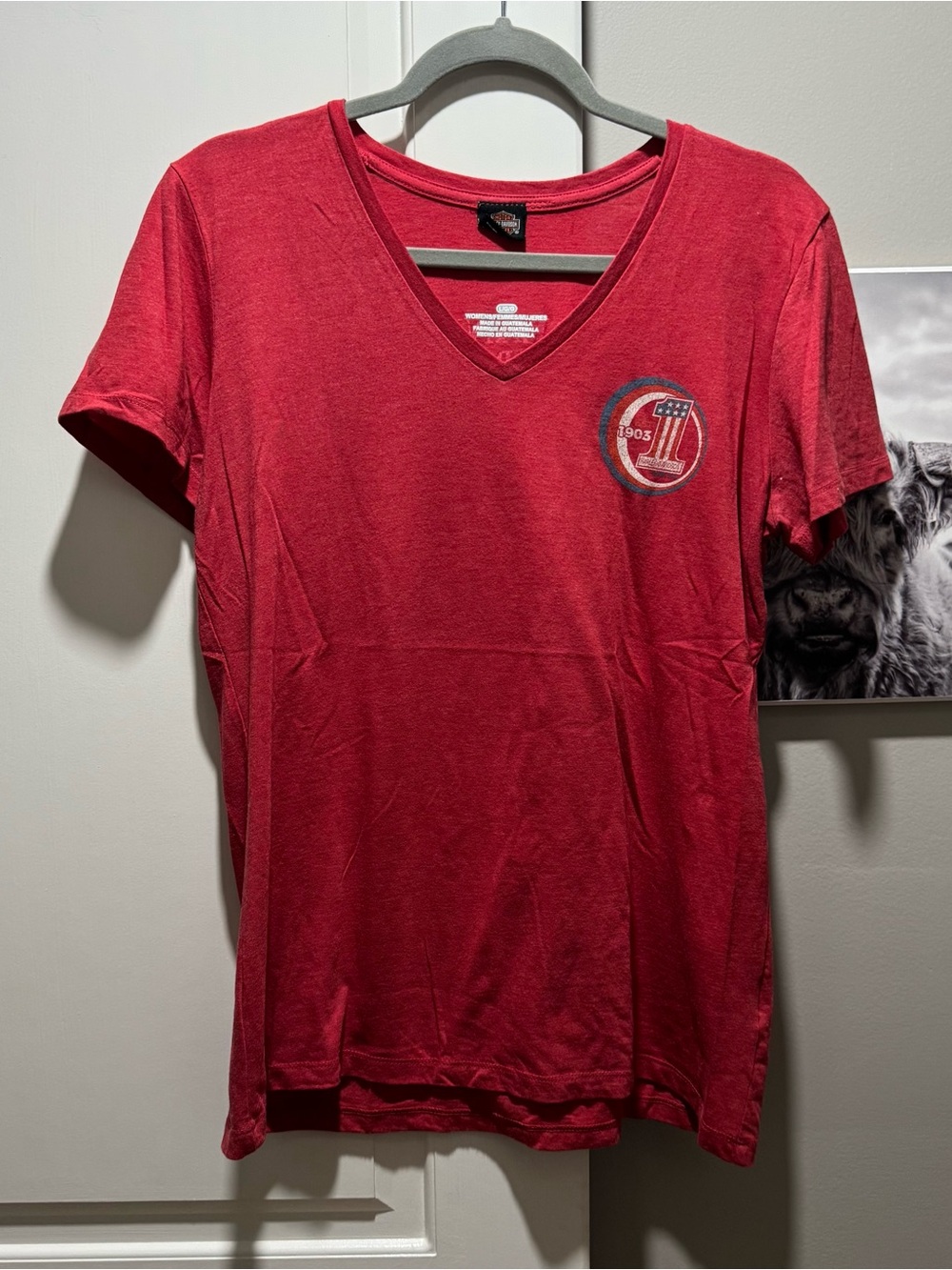 Women’s Harley Davidson shirt